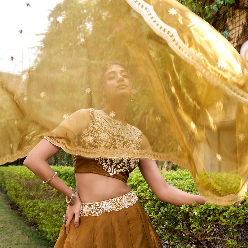 Bronze Color Embroidery Work Chaniya Choli