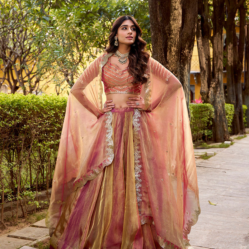 Pink Color Embroidry Chaniya Choli
