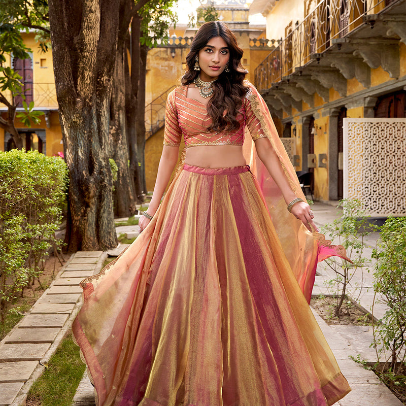 Pink Color Embroidry Chaniya Choli