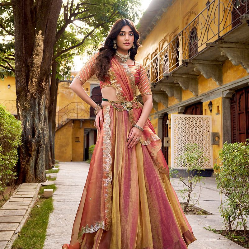 Pink Color Embroidry Chaniya Choli