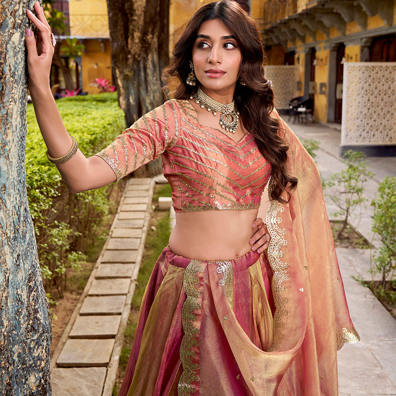 Pink Color Embroidry Chaniya Choli