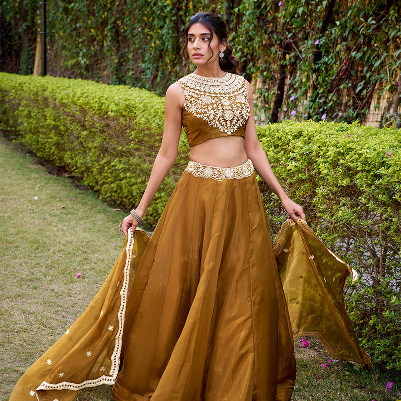 Bronze Color Embroidery Work Chaniya Choli