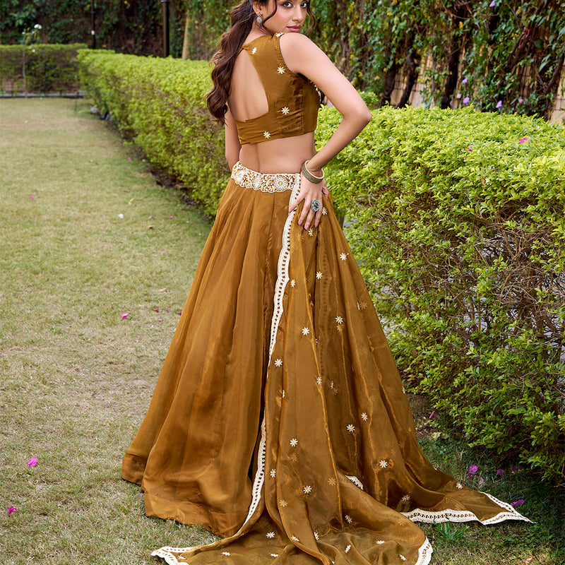 Bronze Color Embroidery Work Chaniya Choli